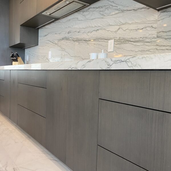 Giotta Quartzite Kitchen 2